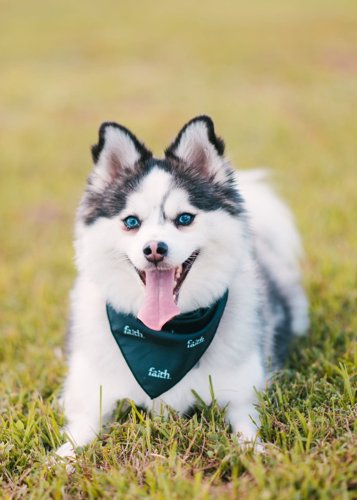 Faith Logo Pet Bandana